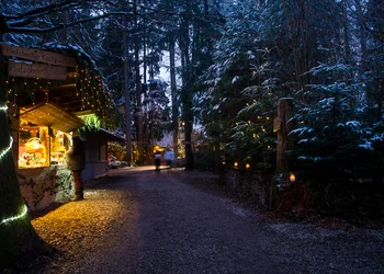 Waldwipfelweg-Weihnachtsmarkt in Sankt Englmar