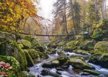Nationalpark Bayerischer Wald mit Waldwipfelpfad Sankt Engelmar