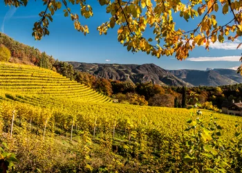 Südtirol